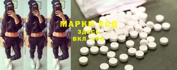 гидра Зеленокумск