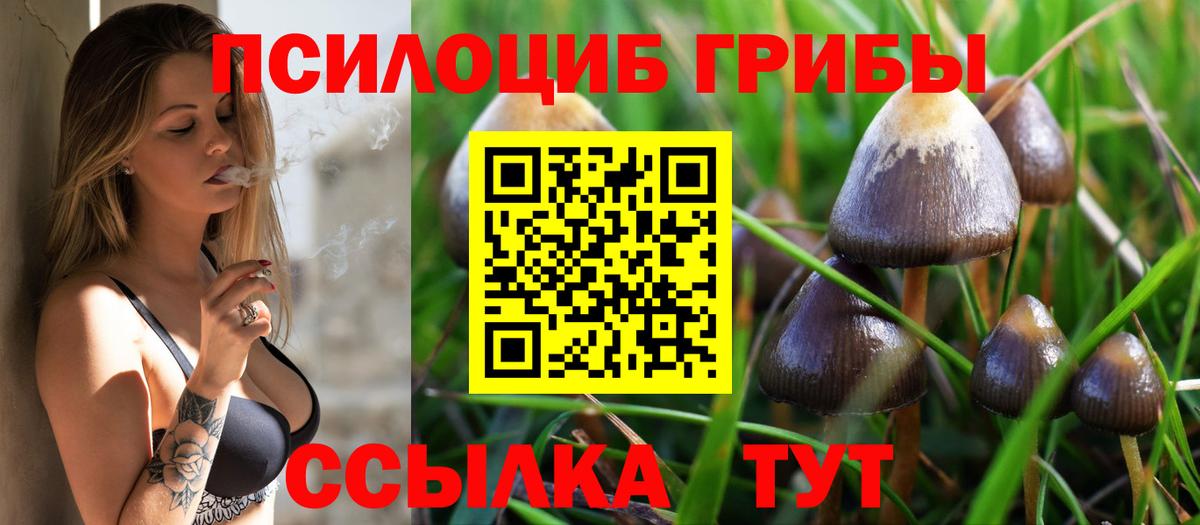 Батайск  Галлюциногенные грибы GOLDEN TEACHER  Вход с VPN  Галлюциногенные грибы Psilocybine cubensis 