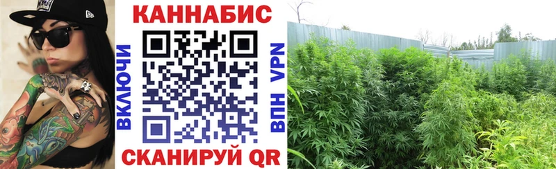 ссылка на мегу сайт  где купить наркоту  Батайск  Шишки марихуана ГИДРОПОН 
